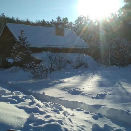 Modrzewiowa Chata Zaborze  Exterior foto