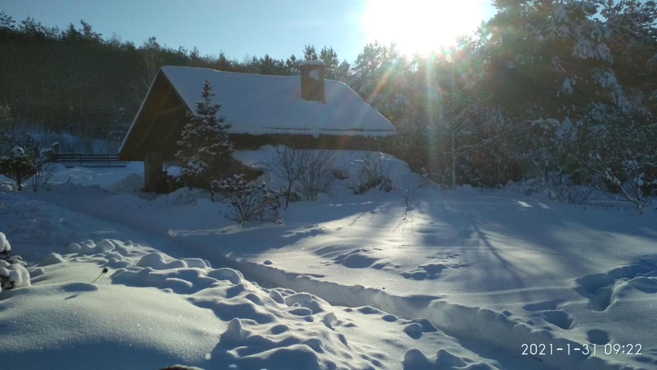 Modrzewiowa Chata Zaborze  Exterior foto